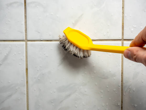 Water Damage Restoration in Tool, TX