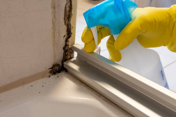 Best Crawl Space Mold Removal  in Tool, TX